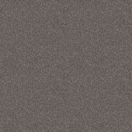 Shaw Floors Nfa Cavallini Desert View