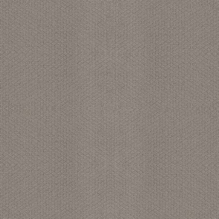 Shaw Floors Nfa Captious Industrial