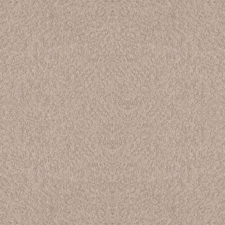 Shaw Floors Nfa Showy Heirloom