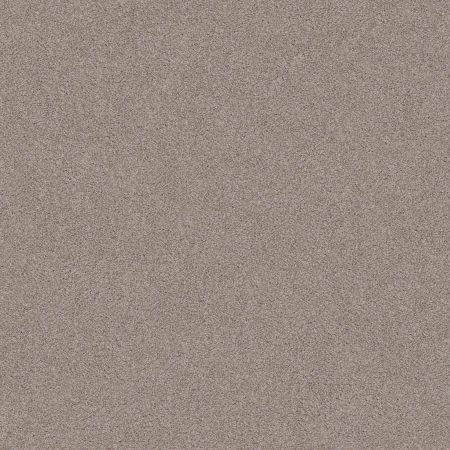 Shaw Floors Nfa Inspire Me I Khaki