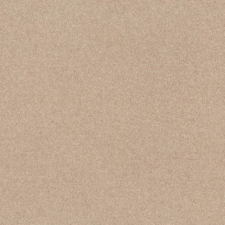 Shaw Floors Queen Knockout II 12' Gentle Breeze