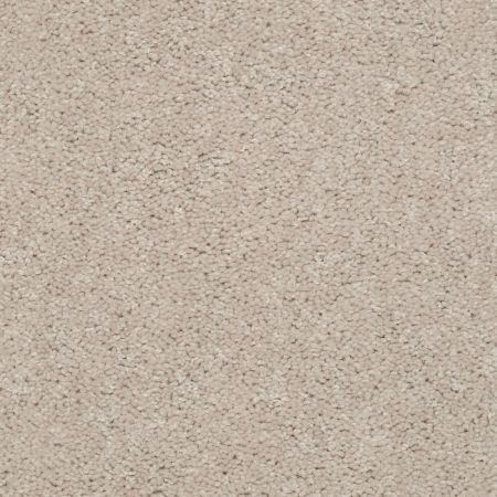 Shaw Floors Queen Knockout II 15' Fleece