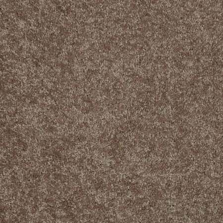 Shaw Floors Queen Knockout II 15' Nature Walk