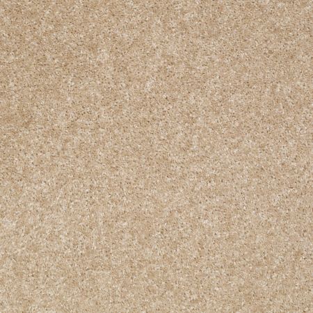 Shaw Floors SFA Resolution Targa