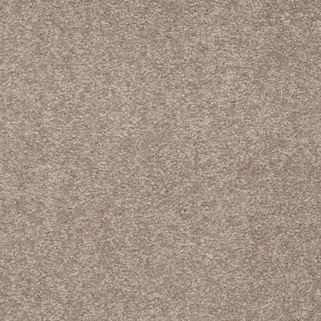 Shaw Floors Sandy Hollow I 12' Chinchilla