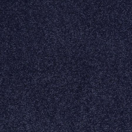 Shaw Floors Sandy Hollow I 12' Indigo