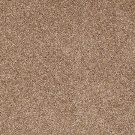 Shaw Floors Queen Sandy Hollow I 15' Mojave