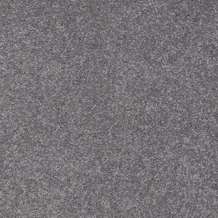 Shaw Floors Queen Sandy Hollow I 15' Slate