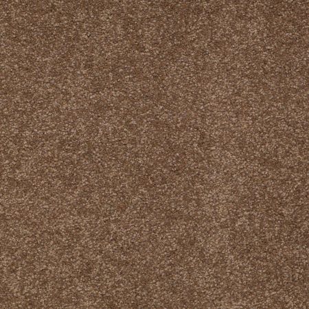 Shaw Floors Queen Sandy Hollow I 15' Pine Cone