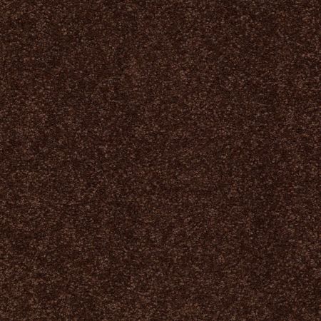 Shaw Floors Queen Sandy Hollow II 12' Coffee Bean