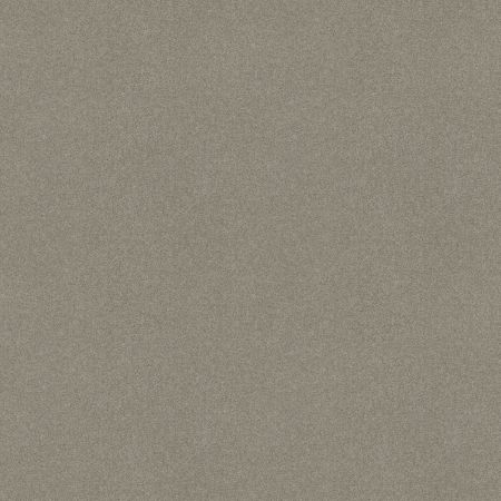 Shaw Floors Sandy Hollow III 12' Silver Charm