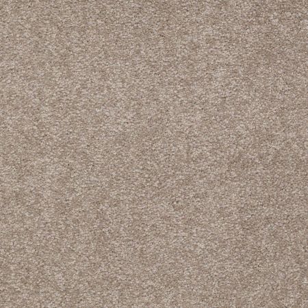 Shaw Floors Sandy Hollow III 15' Chinchilla