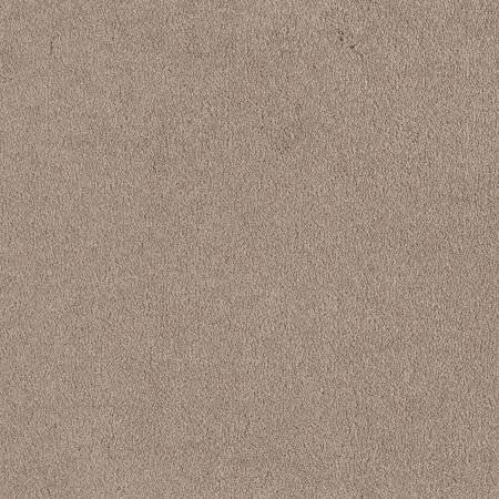 Shaw Floors SFA Timeless Appeal I 12' Oatmeal