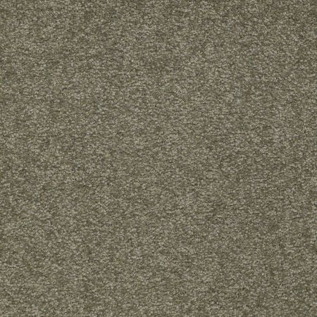 Shaw Floors SFA Timeless Appeal I 12' Alpine Fern