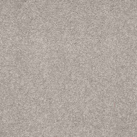 Shaw Floors SFA Timeless Appeal I 12' London Fog