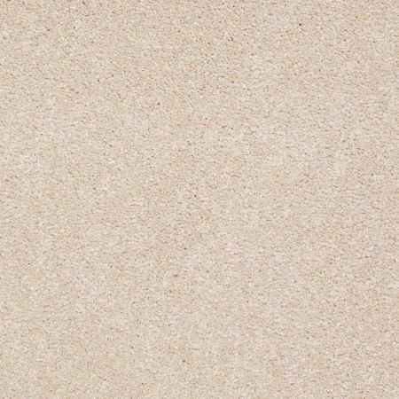 Shaw Floors SFA Timeless Appeal I 15' Cashew