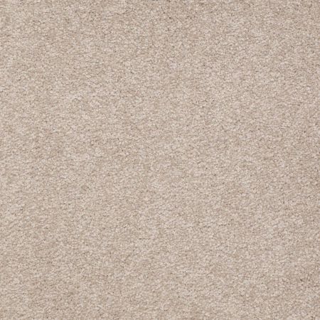 Shaw Floors SFA Timeless Appeal II 12' Soft Shadow