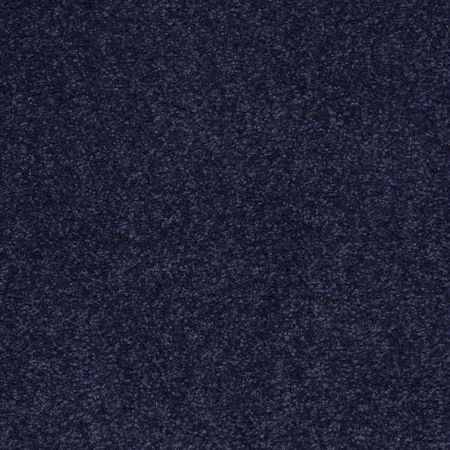 Shaw Floors SFA Timeless Appeal III 15' Indigo