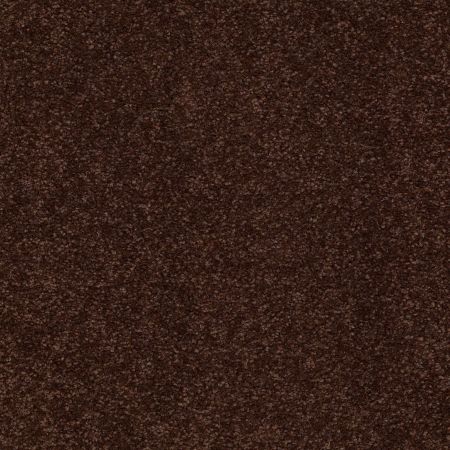 Shaw Floors Anso Premier Dealer Great Effect I 12' Coffee Bean