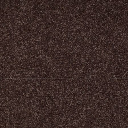 Shaw Floors Shaw Floor Studio Bright Spirit II 15' Tundra