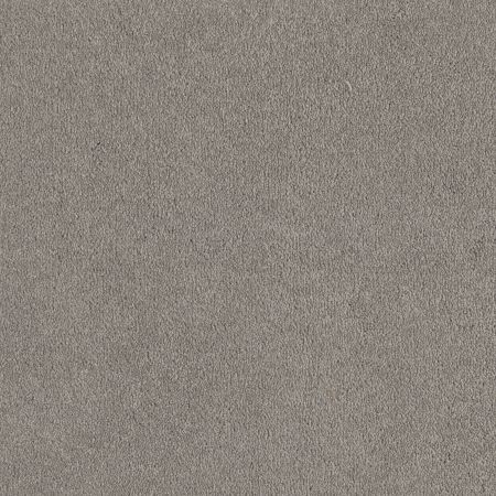 Shaw Floors Shaw Design Center Sweet Valley I 12' Silver Charm