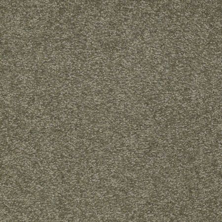 Shaw Floors Shaw Design Center Sweet Valley II 15' Alpine Fern