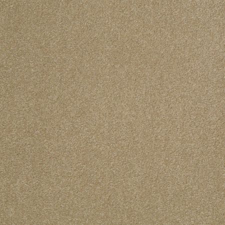 Shaw Floors Shaw Design Center Sweet Valley III 12' Sahara