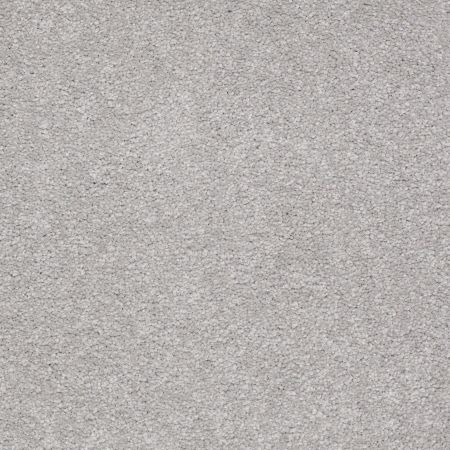 Shaw Floors Shaw Design Center Park Manor 12' Silver Charm