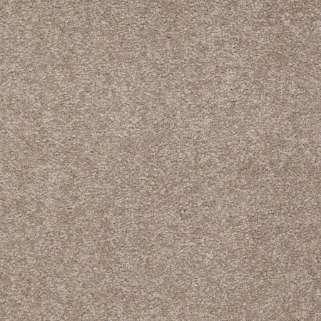 Shaw Floors Roll Special Qs158 12' Chinchilla