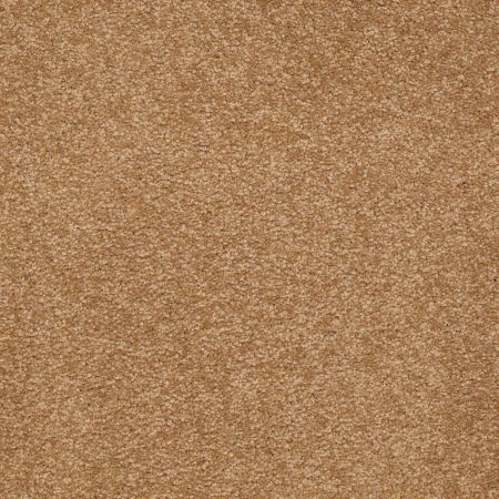 Shaw Floors Roll Special Qs160 15' Peanut Brittle
