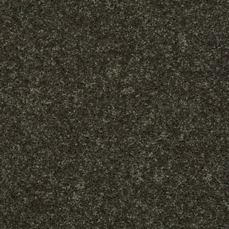 Shaw Floors Roll Special Qs232 Garden Grove