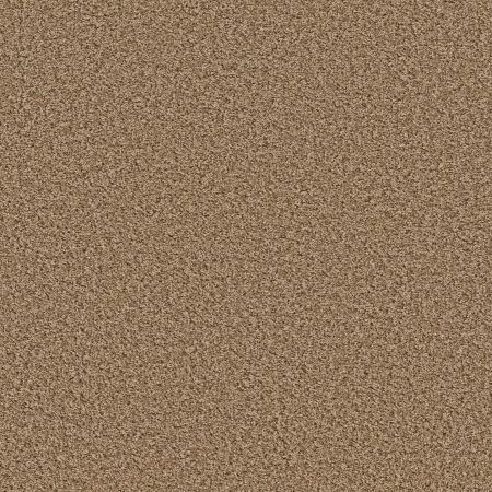 Shaw Floors Simply The Best Qs851 Clay