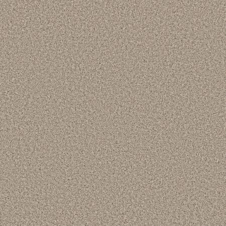 Shaw Floors Roll Special Qs855 Fine Linen