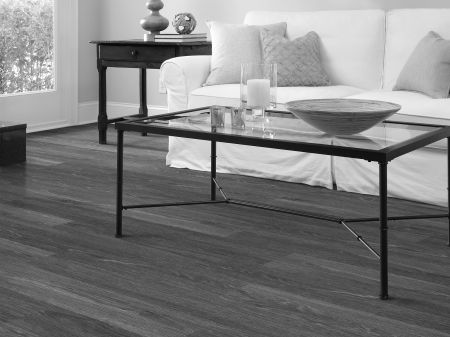 Shaw Floors Resilient Residential All American Independence