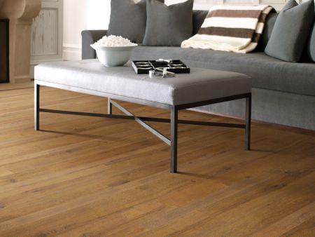 Shaw Floors SFA Manor Ridge Spice Brown