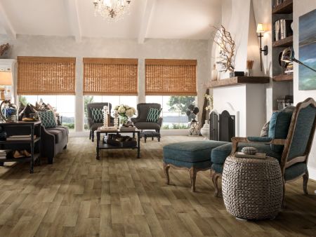 Shaw Floors Resilient Residential Archipelago 12 Chesapeake