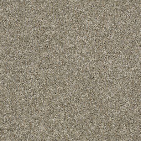 Shaw Floors Rincon Weathered