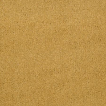 Philadelphia Commercial Special Project Commercial Sp660 Sunflower