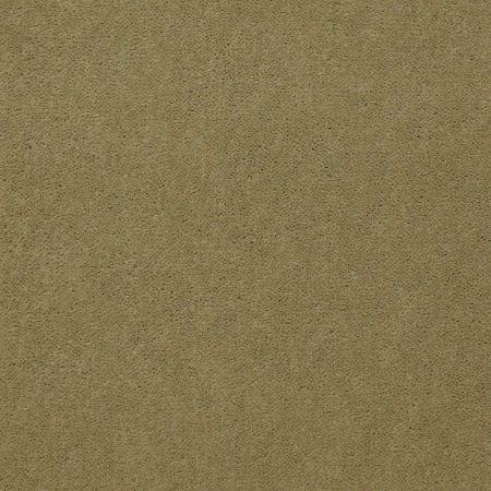 Philadelphia Commercial Special Project Commercial Sp660 Tea Green