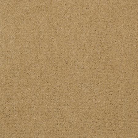Philadelphia Commercial Special Project Commercial Sp845 Suede Gold