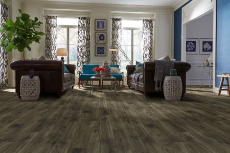 Shaw Floors Resilient Residential Adirondack 12c Helens