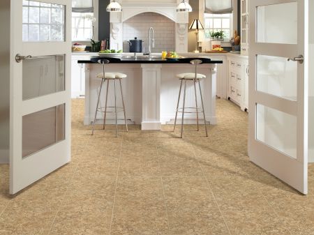 Shaw Floors Resilient Residential Great Basin Mission