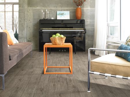 Shaw Floors Resilient Residential Plateau Pathfinder