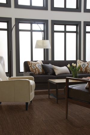 Shaw Floors Resilient Residential Plateau Manifest