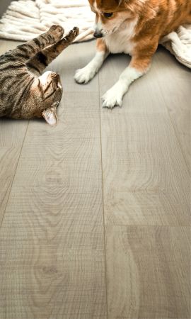 Shaw Floors Resilient Residential Prodigy Hdr Plus Nomad