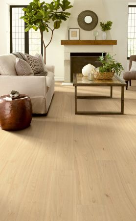 Shaw Floors Resilient Residential Prodigy Hdr Plus Hygge