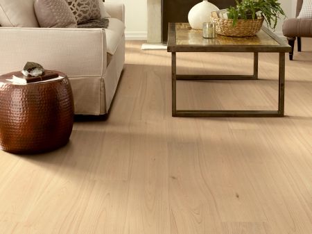 Shaw Floors Resilient Residential Prodigy Hdr Plus Hygge