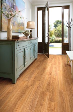 Shaw Floors Resilient Residential World's Fair 6mil Philadelphia