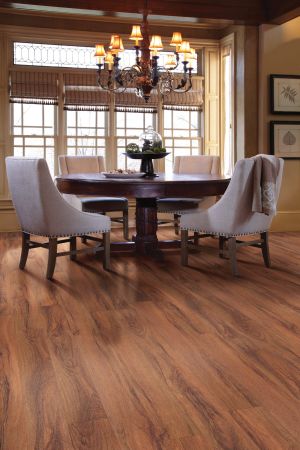 Shaw Floors Resilient Residential World's Fair 6mil St. Louis