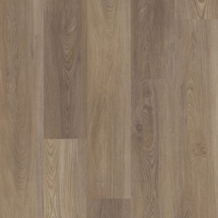 Shaw Floors Resilient Residential Distinction Plus Ash Oak